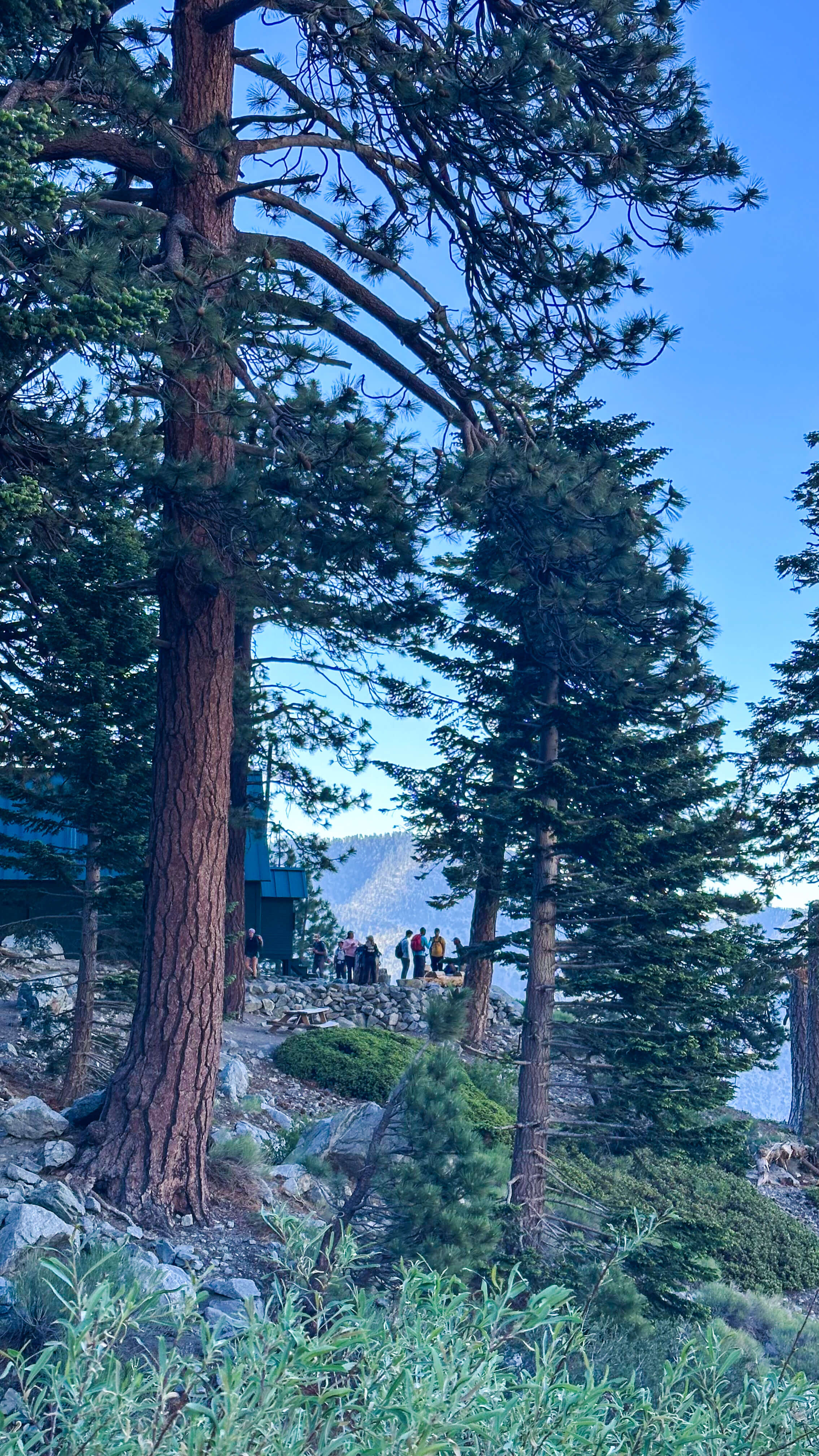 Hikers gathered at the Sierra Club ski hut through the pines