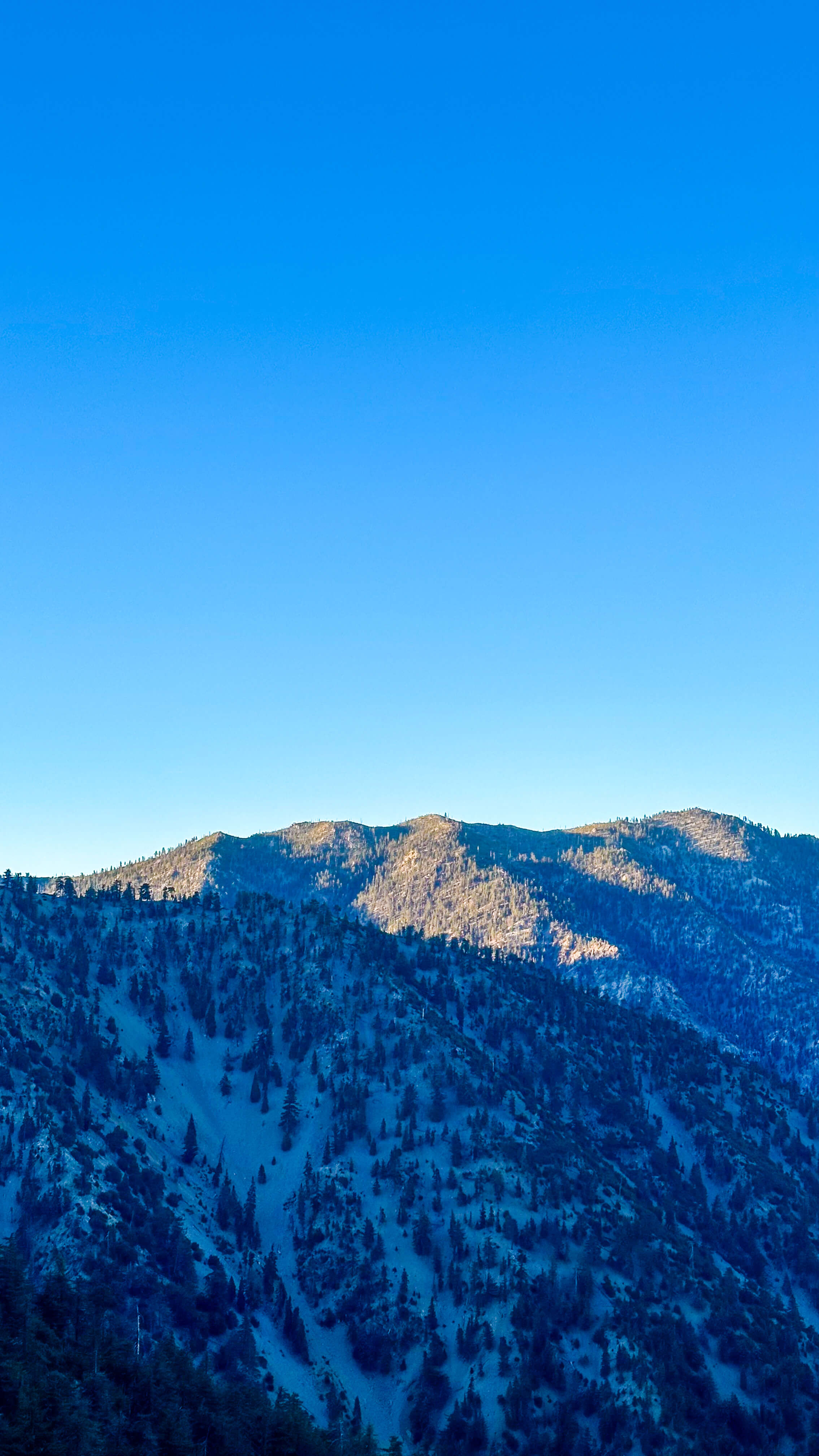 Sunlit ridgeline above a shadowed slope of Mount Baldy