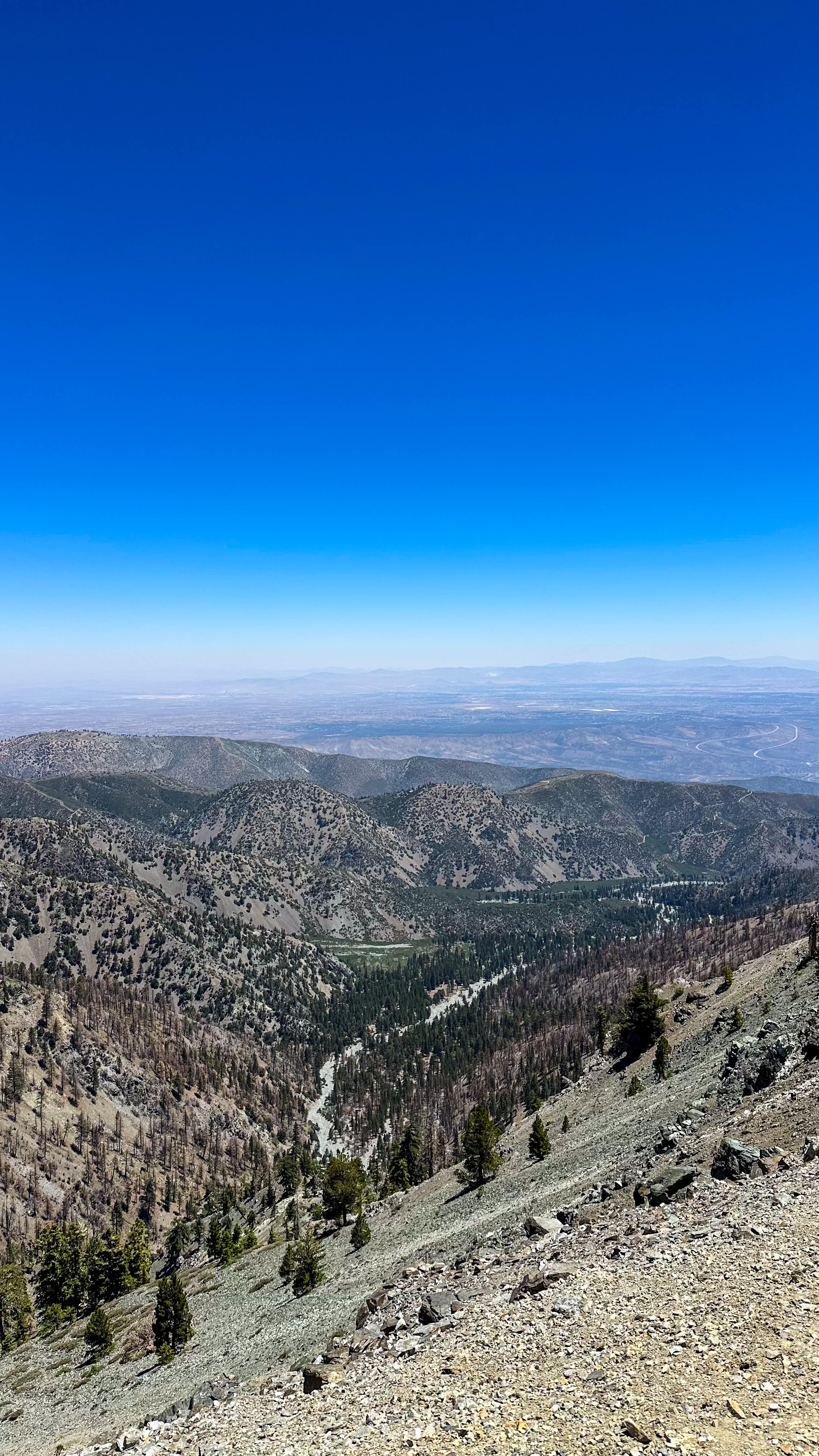 View over the San Gabriel Valley from partway up the climb