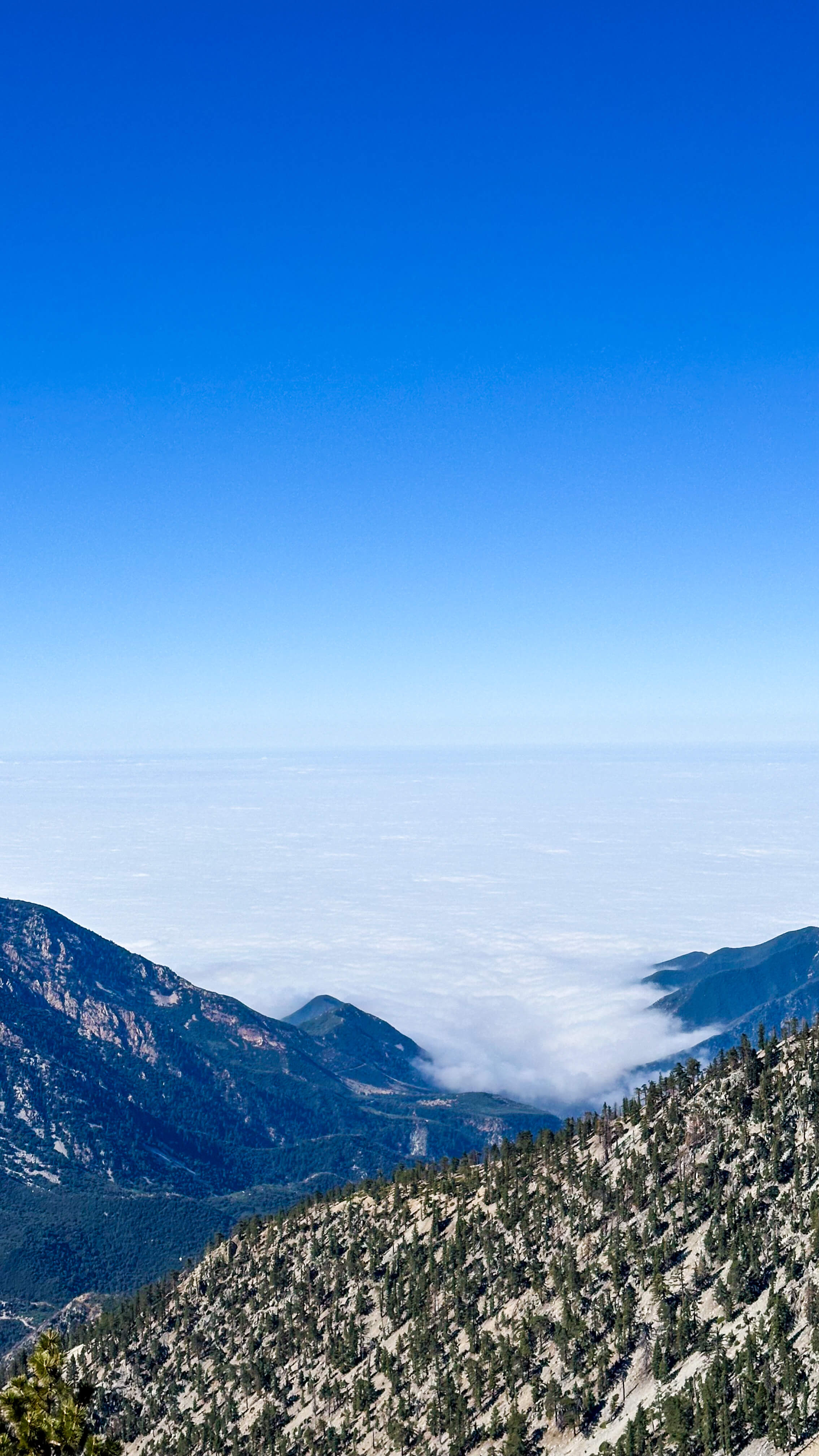 Cloud inversion filling the valley below the ridge